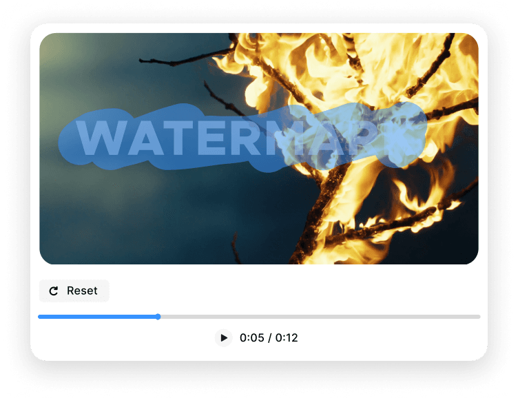 Video Watermark Remover